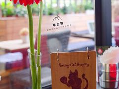-Boxing Cat Brewery拳击猫精酿啤酒馆(永福店)