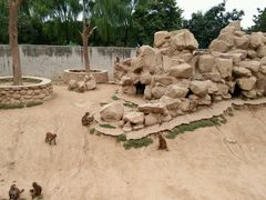 -西安秦岭野生动物园