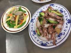 -金包里鸭肉ㄜˋ