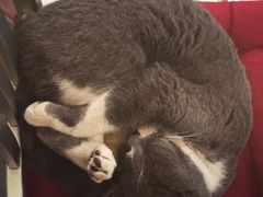 iphone_upload_pic-MIKAKU(万达广场上海宝山店)