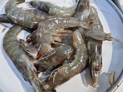 -新艺自助美食城(中山路店)