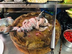 -煲来饱去冷水鱼