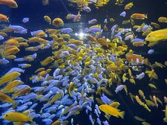 -成都浩海立方海洋公园