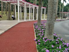 -南宁花花大世界景区