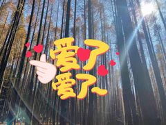 -山王坪喀斯特国家生态公园