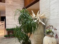 -久宴·天目湖大鱼头(恐龙园店)
