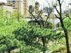 -莲花池公园