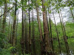 -青龙山国家森林公园