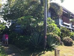 泳池别墅-石梅湾艾美度假酒店