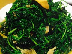蚌肉金花菜-东吴面馆(十全街店)