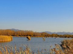 -野鸭湖国家湿地公园