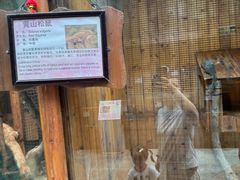 -上海大自然野生昆虫馆(东方明珠·爬宠昆虫探索中心)