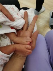 -海豚湾高端月子会所(黄浦店)