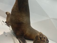 -青岛海底世界-水族馆