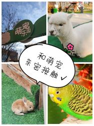 -萌宠亲子动物乐园(槐房万达店)