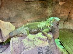 -黔灵山公园-南门售票处