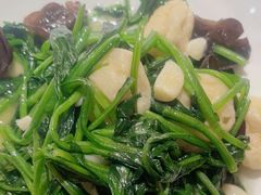 -東大方(湖州白鹭迎店)