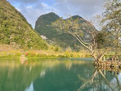 -靖西鹅泉风景区