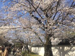 -醍醐寺