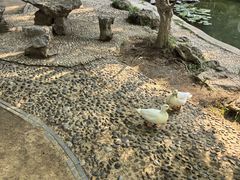 -南山风景名胜区