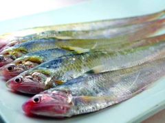 -新花城蟹粉馆(乌鲁木齐店)