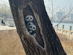 -迎泽公园