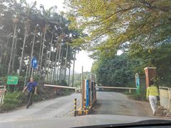 -东莞市虎英郊野公园