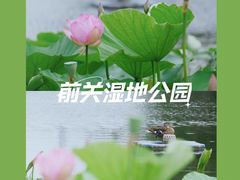 -前关湿地公园