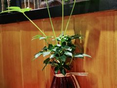 -鱼谦脆皮烤鱼(华阳城店)