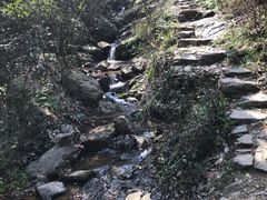 -午潮山国家森林公园