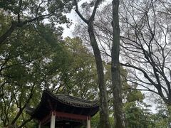-天一阁博物院