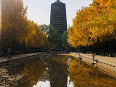 -玲珑塔公园