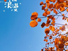 -周口店坡峰岭风景区