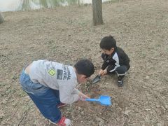-东郊湿地公园