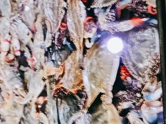 -孙家码头海鲜自助美食城