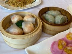 -星湖愉景酒家