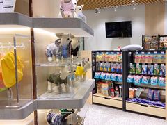 -momokira米努特·德文卷毛猫·棉花面纱犬
