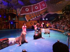 游乐设施-烟台海昌鲸鲨海洋公园