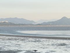 -深圳湾公园(南山区)