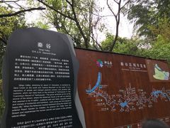 -常德桃花源景区