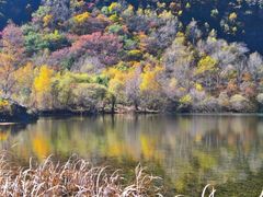 -叠溪松坪沟景区