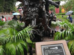 -大槐树寻根祭祖园