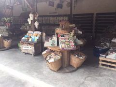 -大象粑粑造纸公园