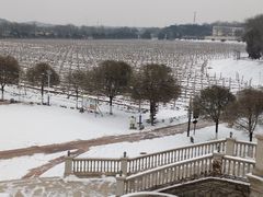 -北京张裕爱斐堡酒庄