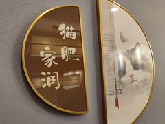-猫鲜生日本料理(坪山店)