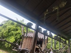 -宁波野生动物园