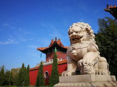 -大槐树寻根祭祖园