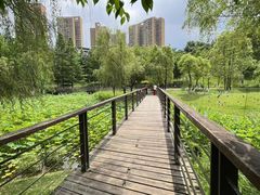 -沐仙湖湿地公园