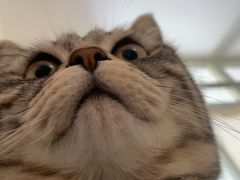 -纳吉亚猫专科动物医院博雅分院
