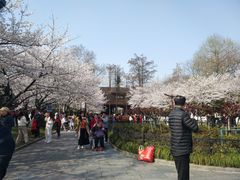 -堤角公园